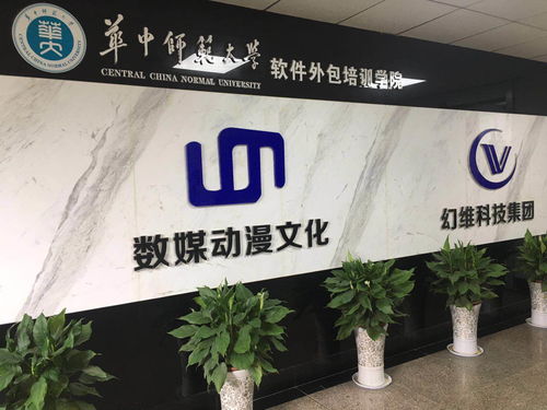 华中师范大学软件外包培训学院 引领武汉高端职业教育的典范
